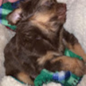 Meet your Posher, Michelle